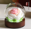Gradient Light Pink Rose Knitted Flower LED Dome Lamp USB Touch 3-Color Night Light
