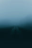 fogs covering road