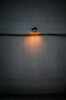 black lamp on snow covered ground