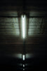 a light that is shining in the dark