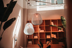 a room with a book shelf and a plant in it
