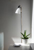 a white table with a plant and a lamp on it