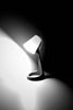 A black and white photo of a lamp