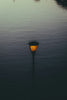Glowing lamp post reflected in the still water.