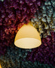 A pendant light hangs amidst colorful floral decorations.