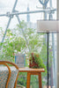 Floor lamp and plants by the window with city view