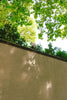 Wall with trees and light shadows overhead