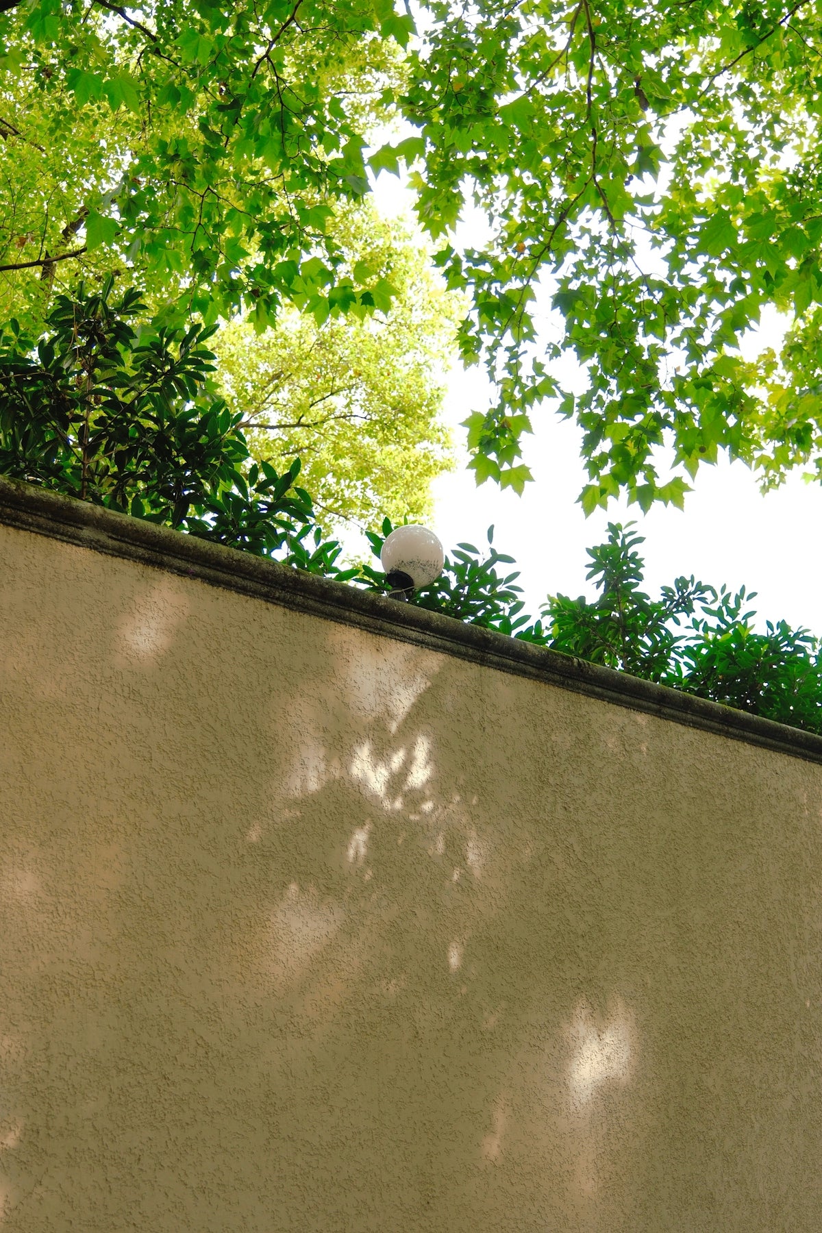 Wall with trees and light shadows overhead