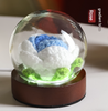 Gradient Blue Rose Knitted Flower LED Dome Lamp USB Touch 3-Color Night Light