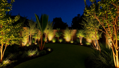 10 Stunning Modern Garden Lighting Ideas to Transform Your Space.