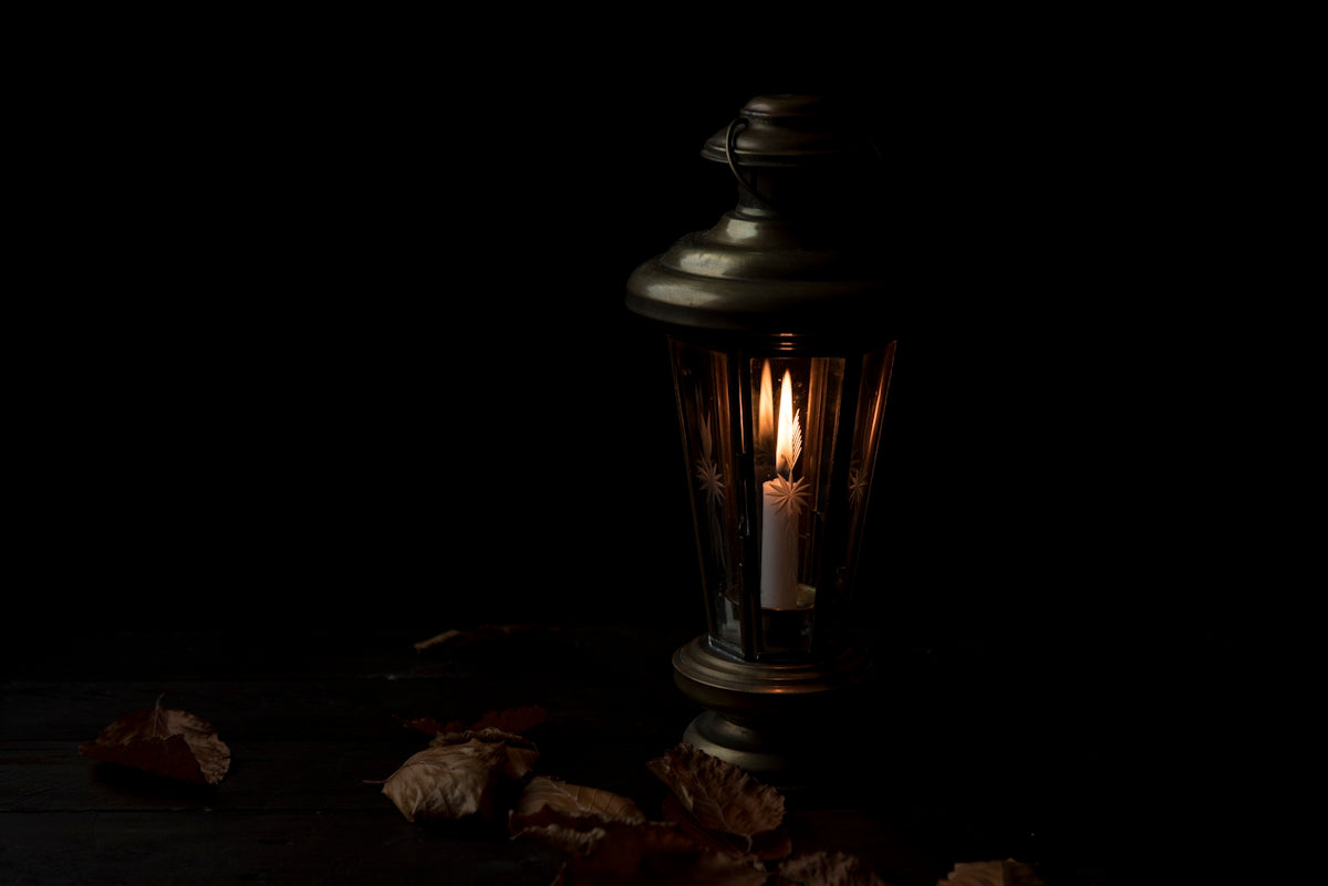 lighted lantern with dried leaves beside it