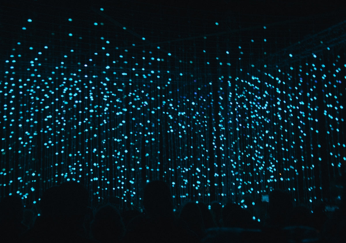 blue light fixture