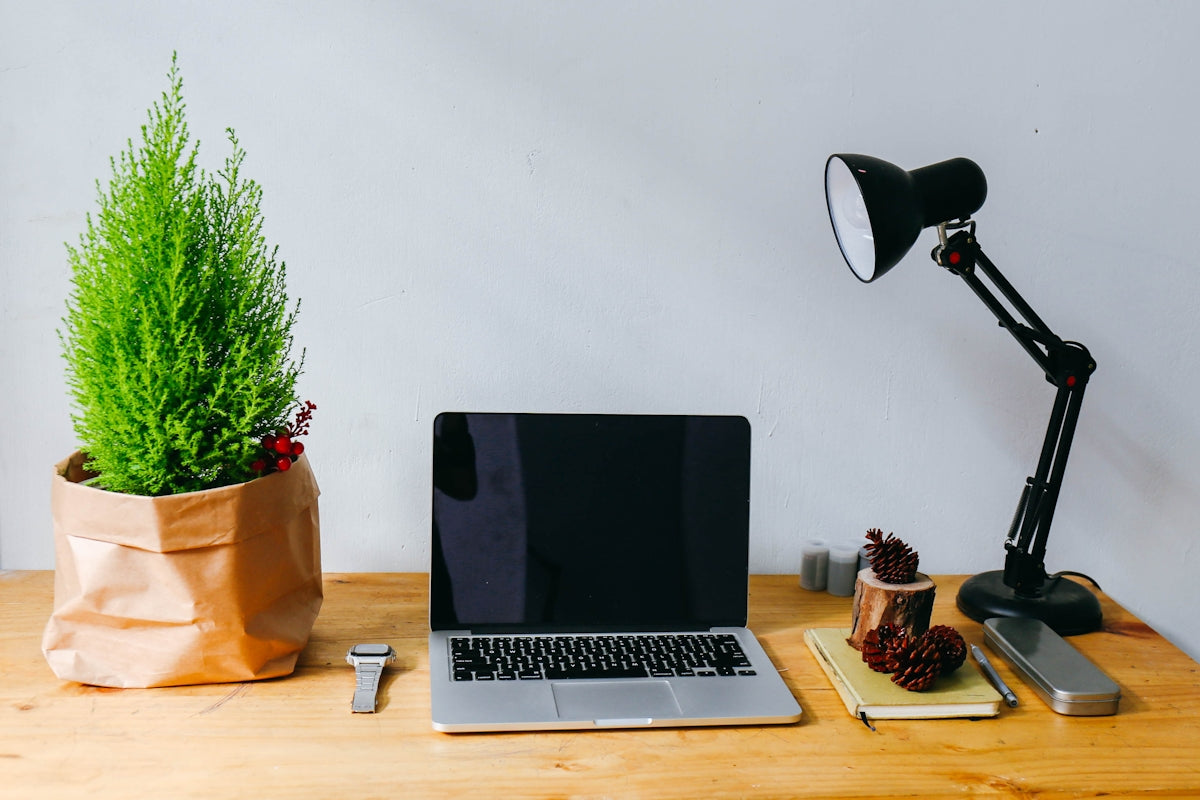 The Evolution of Desk Lamps From Functionality to Fashion Icons.