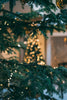 Christmas tree with string lights