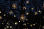 silhouette of bare trees during nighttime