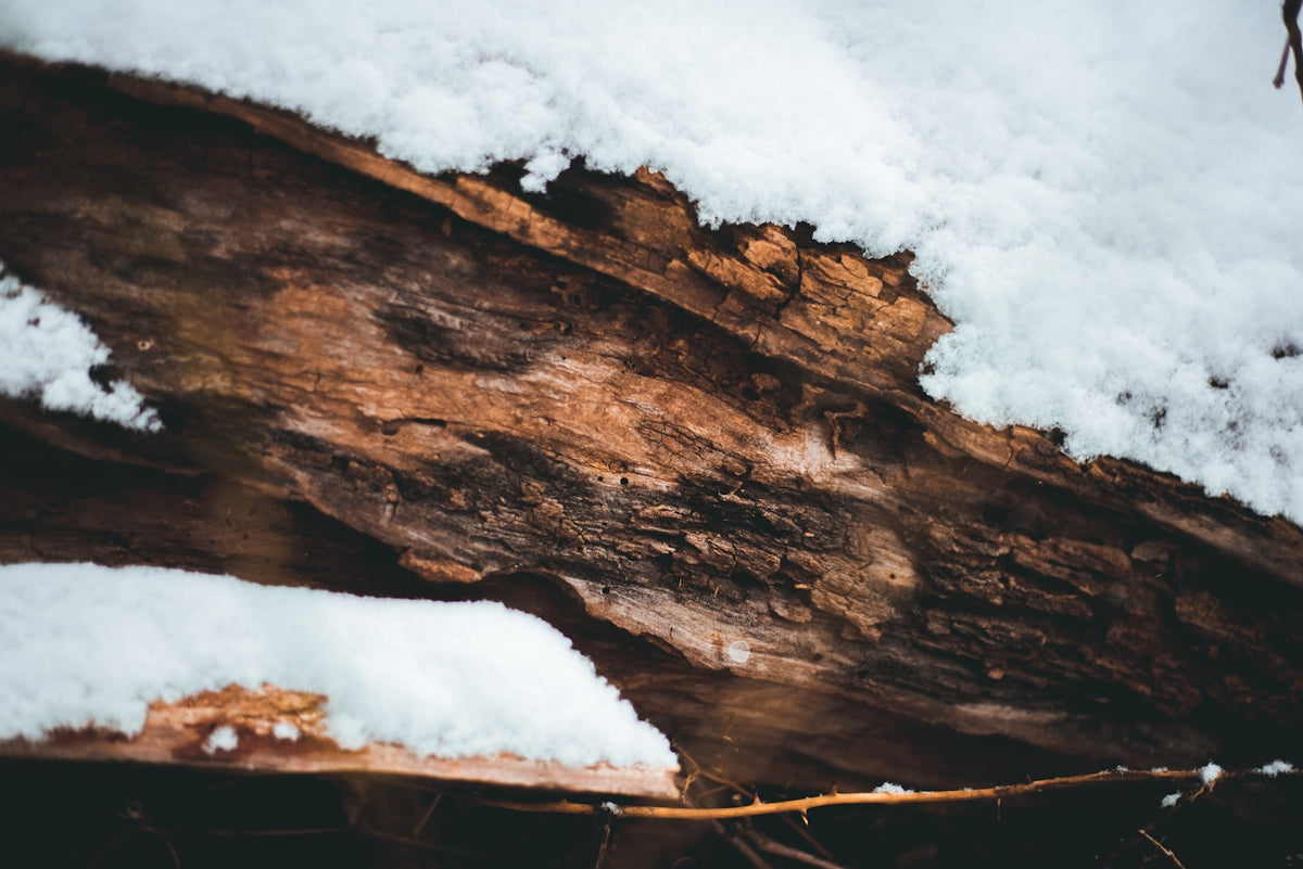 a piece of wood with snow on top of it