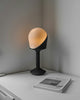 Unlock the Salt Lamps Benefits for a Healthier Home.