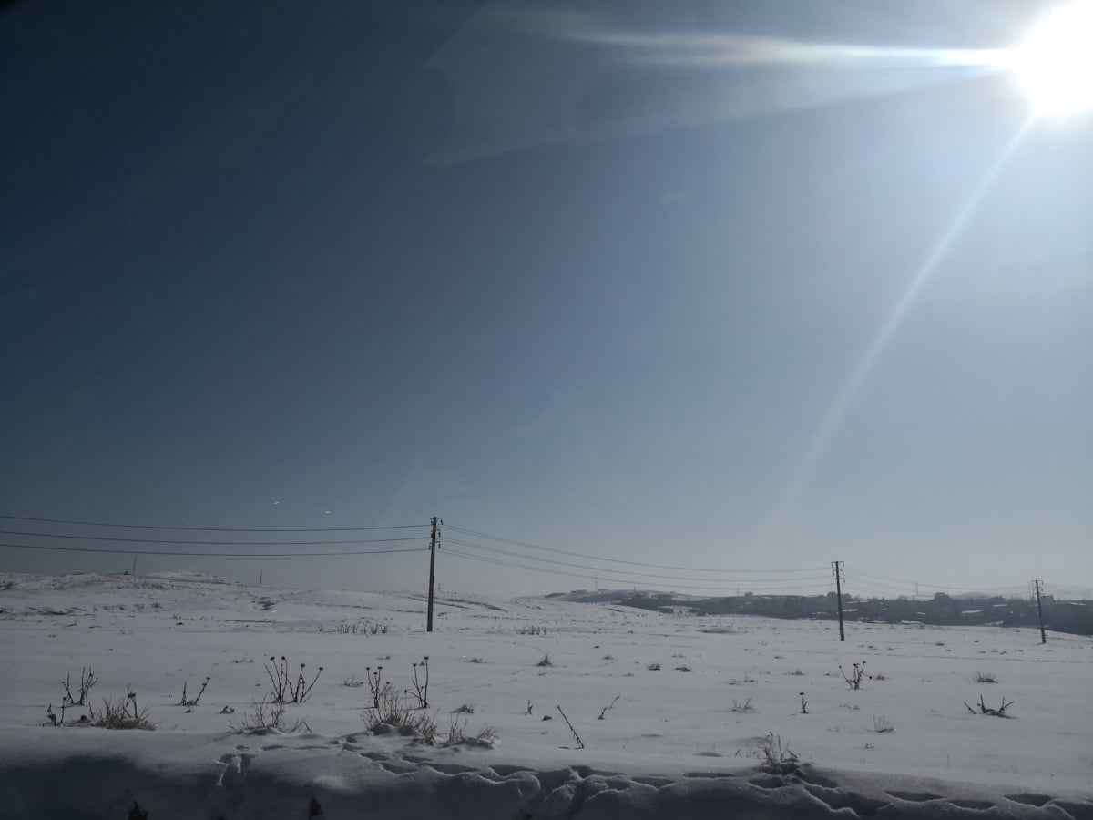 landscape of a snowy field