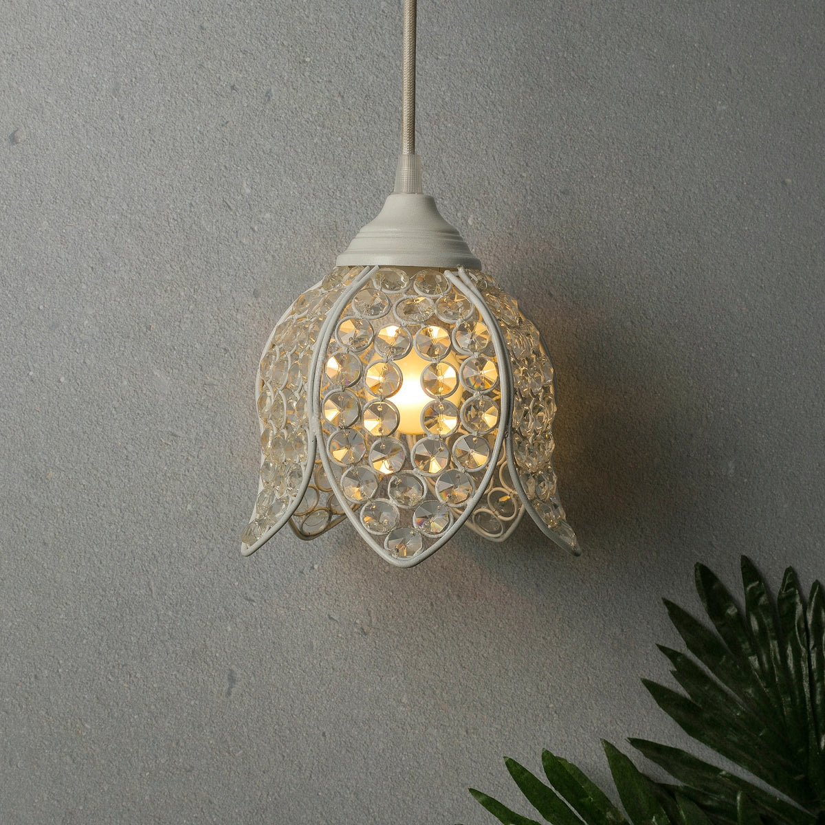 a light that is on a wall next to a plant