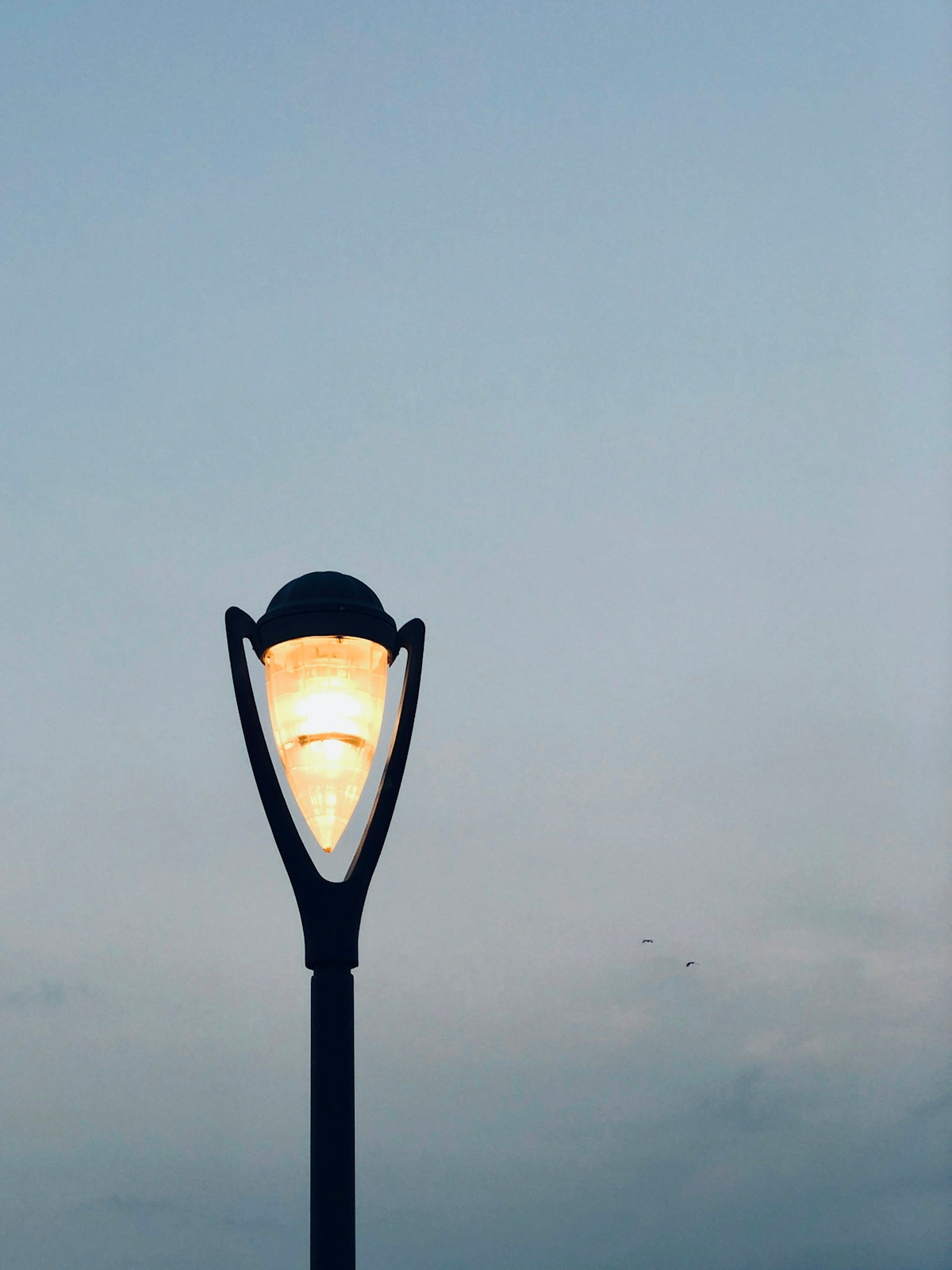 black street light under gray sky