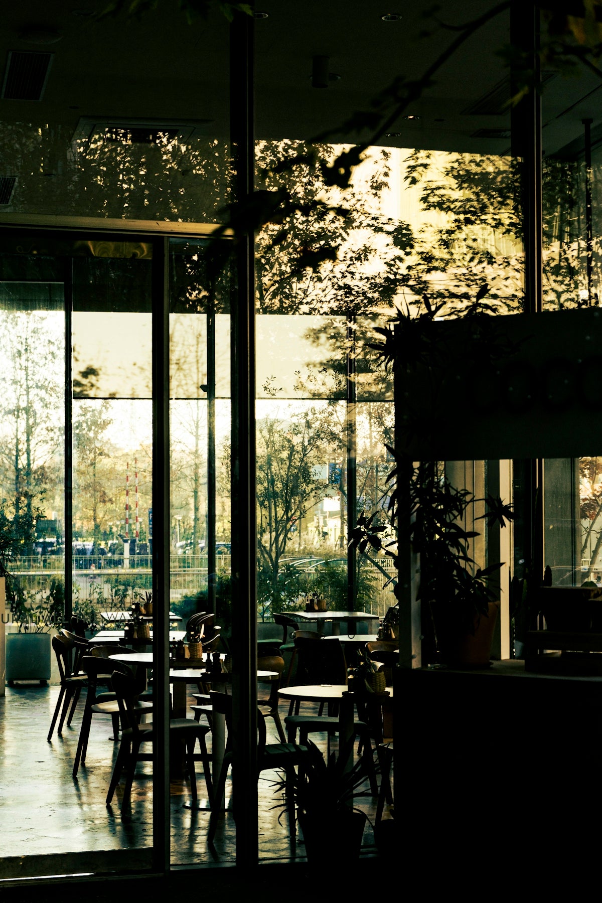 a restaurant with a lot of tables and chairs
