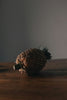 a pineapple sitting on top of a wooden table