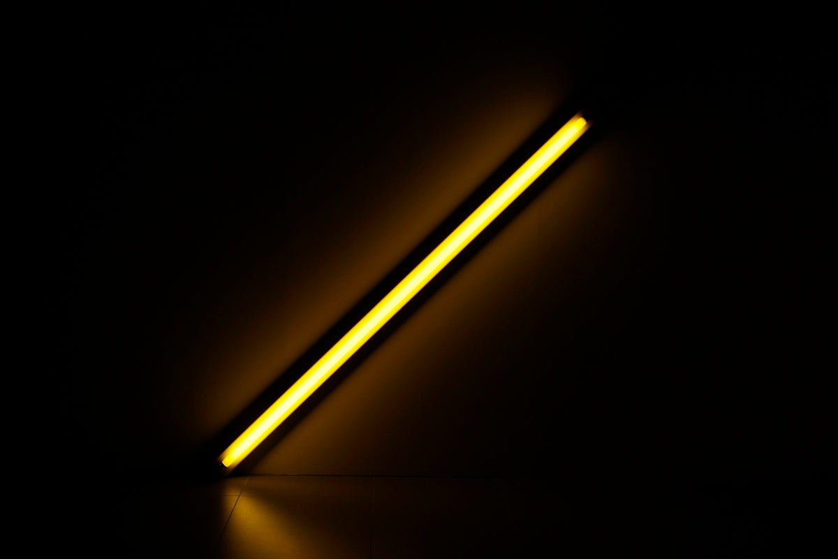 a light in the dark