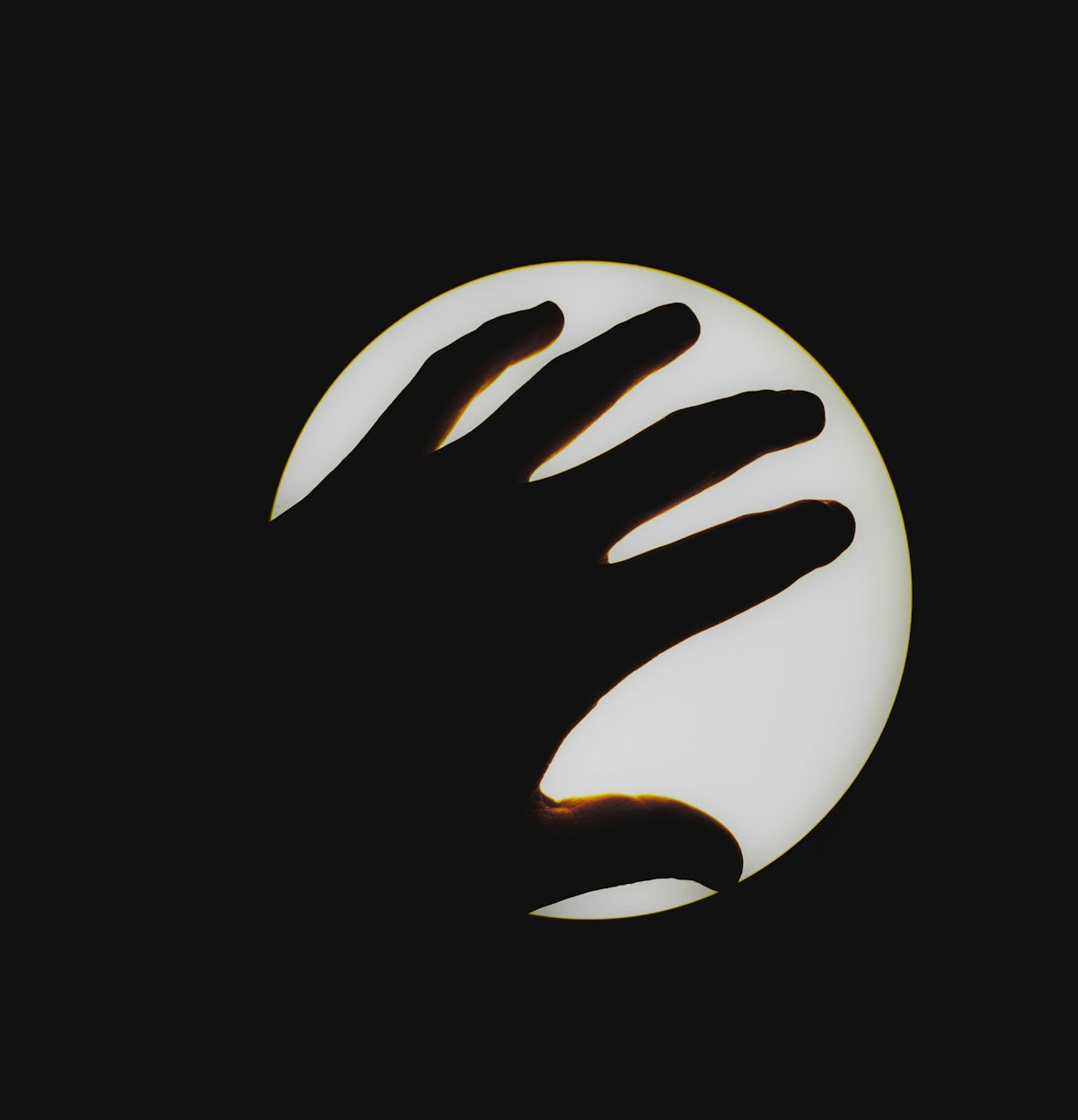 a black and white photo of a person's hand