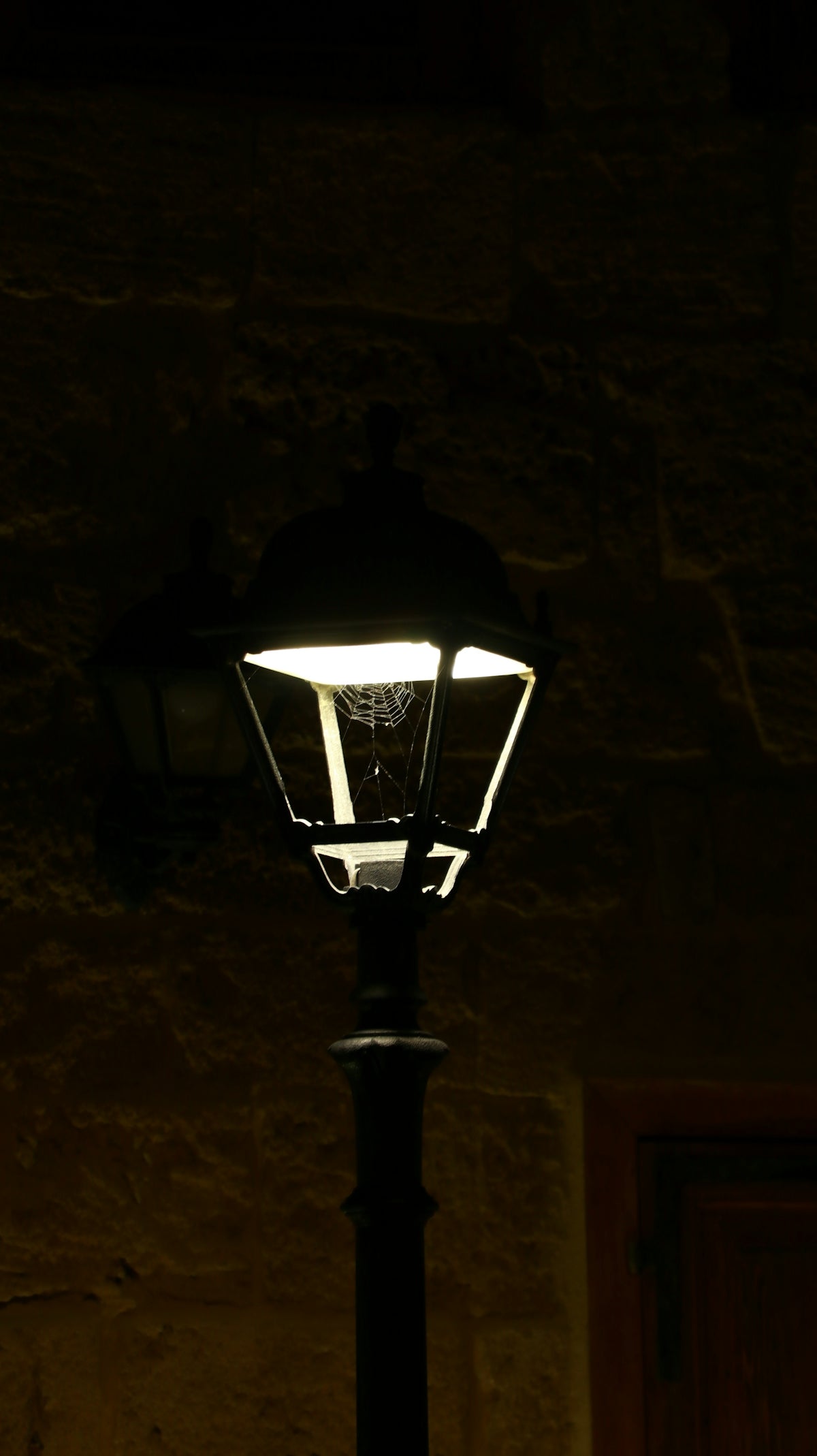 A lamp post lit up in the dark