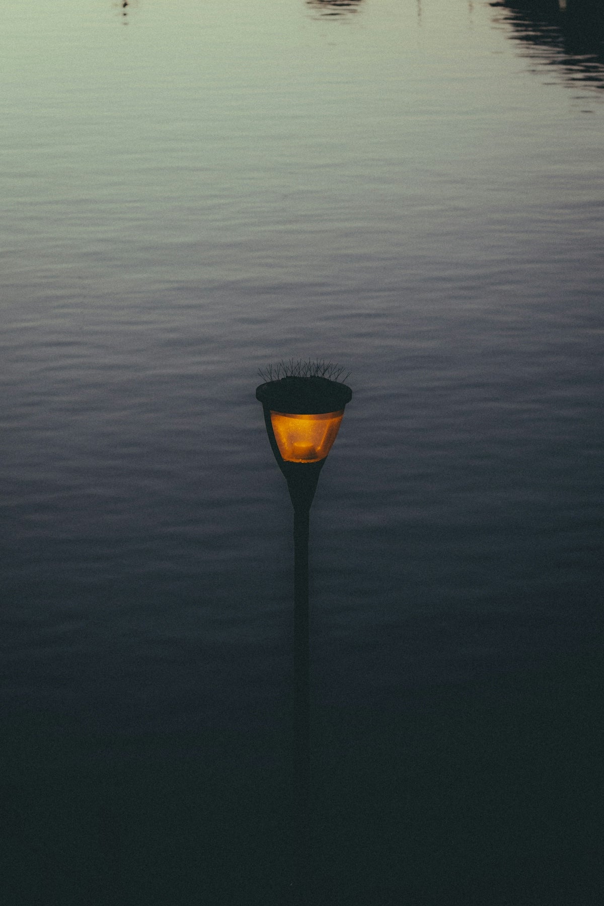 Glowing lamp post reflected in the still water.