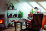 Cozy room with desk, plants, and fireplace.