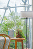 Floor lamp and plants by the window with city view
