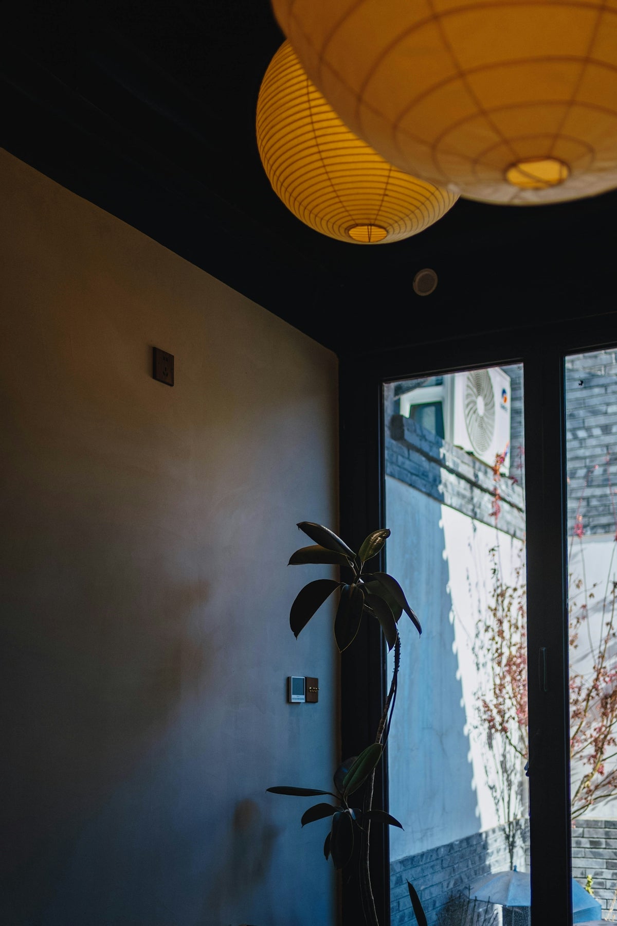 Hanging lanterns illuminate a room with a plant.