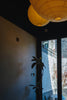 Hanging lanterns illuminate a room with a plant.