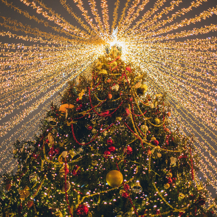 Collection image for: Christmas Lights