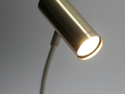 Sarla Table Lamp Satin Chrome Antique Brass Modern Desk Light.