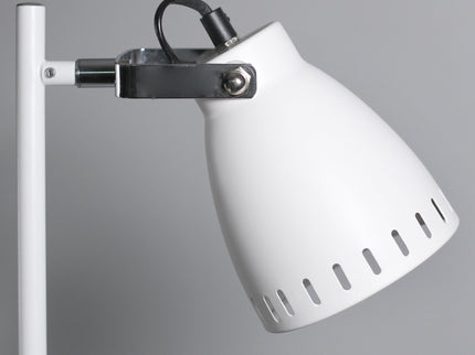 Audrey Floor Lamp Black White Modern Adjustable Standing Light.