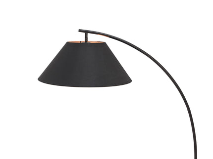 Remi Floor Lamp Black Brass Modern Over-Arched Floor Light.