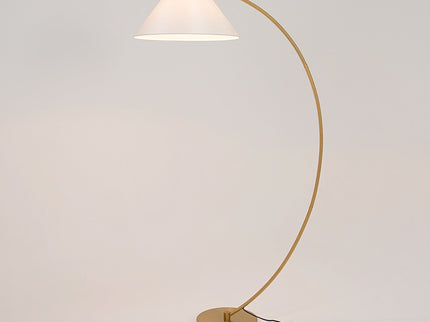 Remi Floor Lamp Black Brass Modern Over-Arched Floor Light.