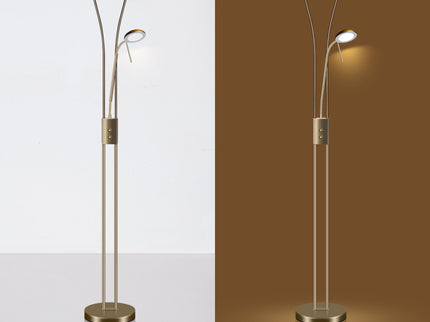Reed LED Mother & Child Floor Lamp Black Antique Brass Satin Chrome