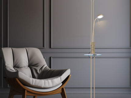 Seed USB LED Mother & Child Floor Lamp Black Satin Chrome Antique Brass