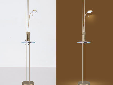 Seed USB LED Mother & Child Floor Lamp Black Satin Chrome Antique Brass