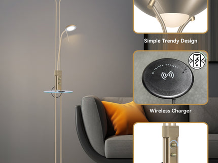 Seed USB LED Mother & Child Floor Lamp Black Satin Chrome Antique Brass