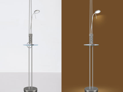 Seed USB LED Mother & Child Floor Lamp Black Satin Chrome Antique Brass.