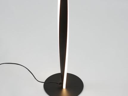 Enhalus LED Floor Lamp Brushed Chrome Black Modern Metal Light