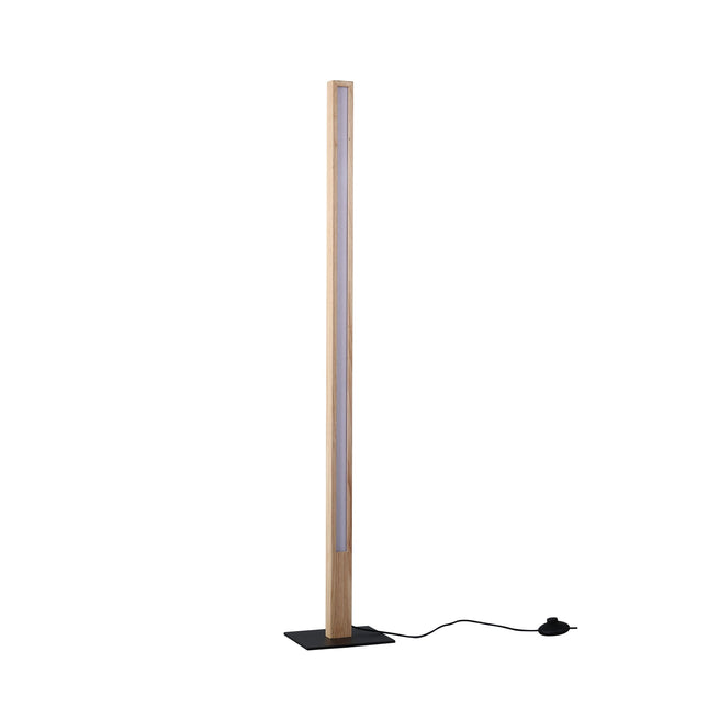 Rectara Floor Lamp Modern Minimalist Standing Light for Living Room.