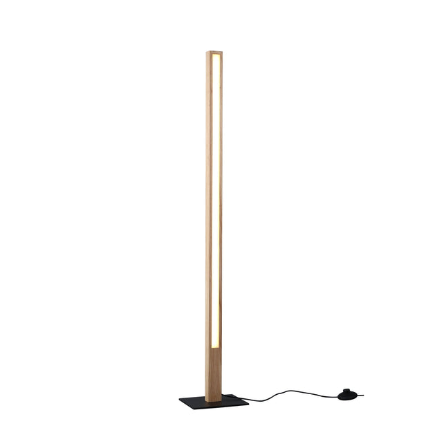 Rectara Floor Lamp Modern Minimalist Standing Light for Living Room.