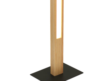 Rectara Floor Lamp Modern Minimalist Standing Light for Living Room.