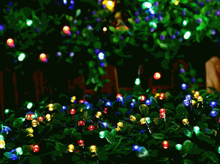 100 Multicolour Led Fairy Light Chain 4.95m
