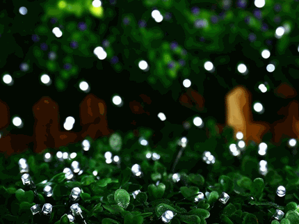 100 Cool White Led Fairy Light Chain 4.95m
